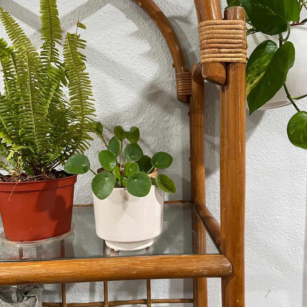White ceramic pot new planter/pot